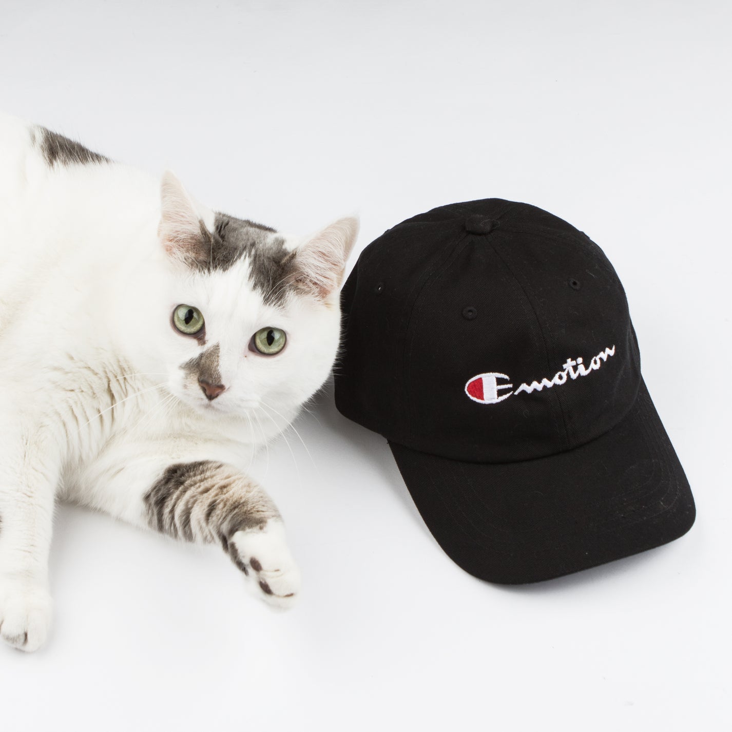 Emotion Hat