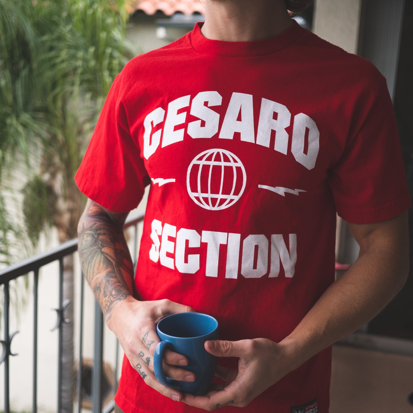 Cesaro Section