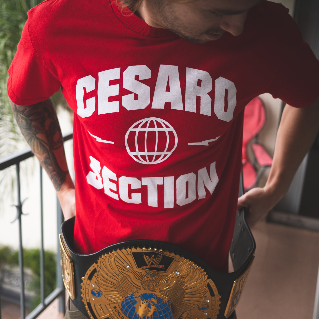 Cesaro Section